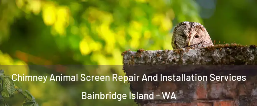  Chimney Animal Screen Repair And Installation Services Bainbridge Island - WA