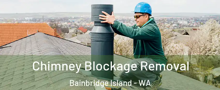  Chimney Blockage Removal Bainbridge Island - WA