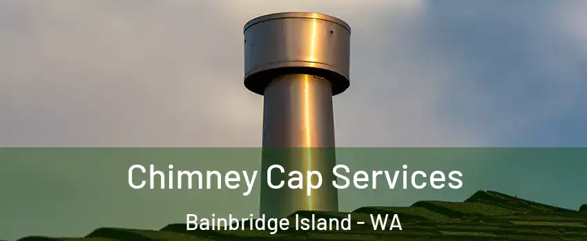  Chimney Cap Services Bainbridge Island - WA