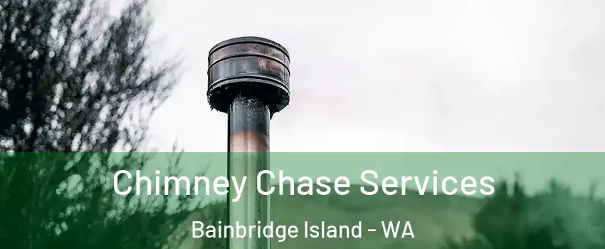  Chimney Chase Services Bainbridge Island - WA