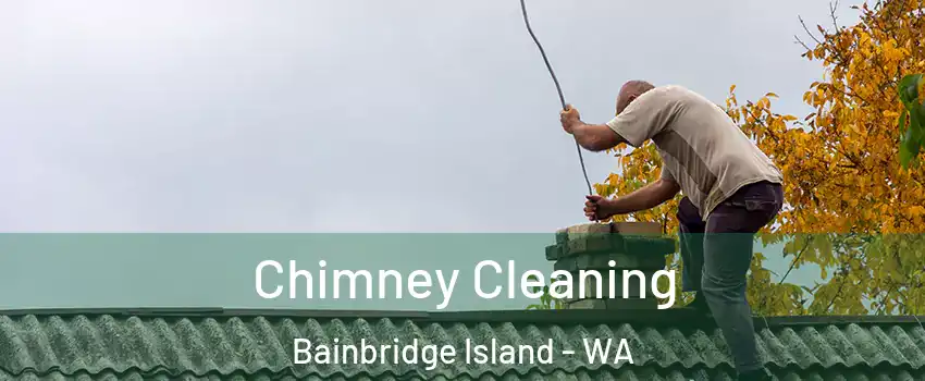  Chimney Cleaning Bainbridge Island - WA