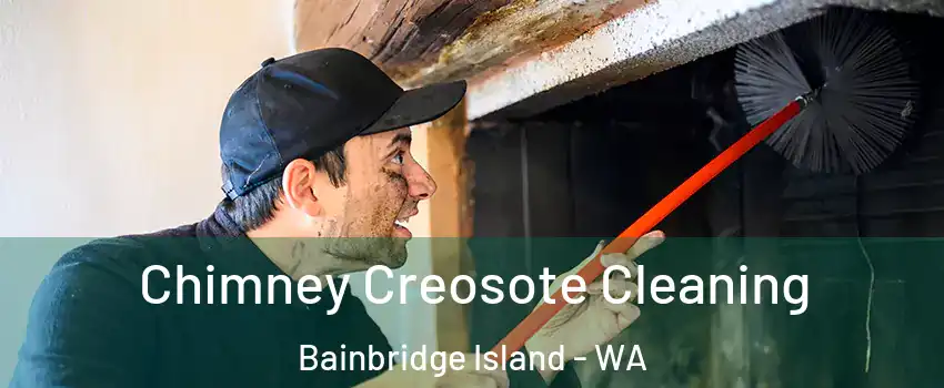 Chimney Creosote Cleaning Bainbridge Island - WA