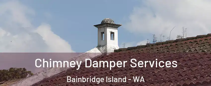  Chimney Damper Services Bainbridge Island - WA