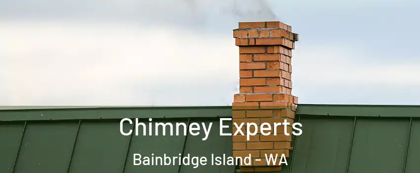  Chimney Experts Bainbridge Island - WA