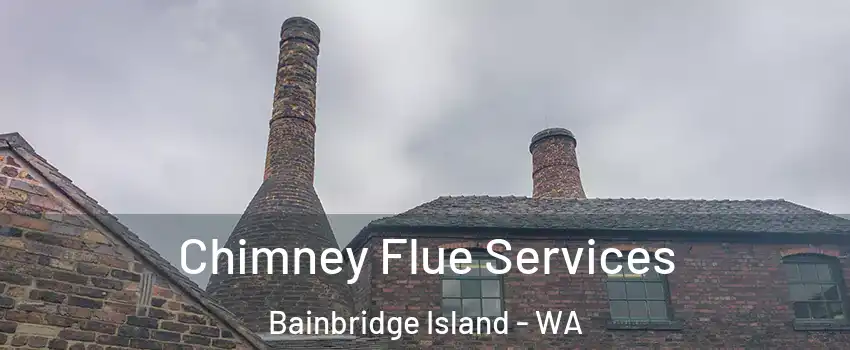  Chimney Flue Services Bainbridge Island - WA