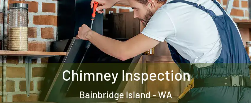  Chimney Inspection Bainbridge Island - WA