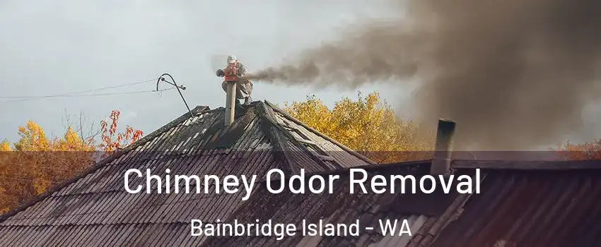  Chimney Odor Removal Bainbridge Island - WA