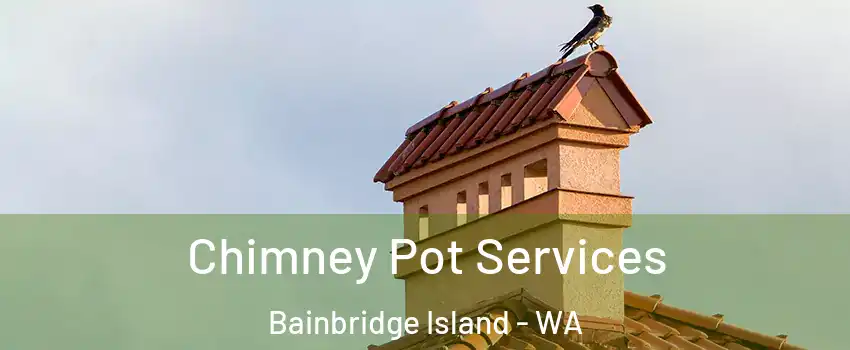  Chimney Pot Services Bainbridge Island - WA