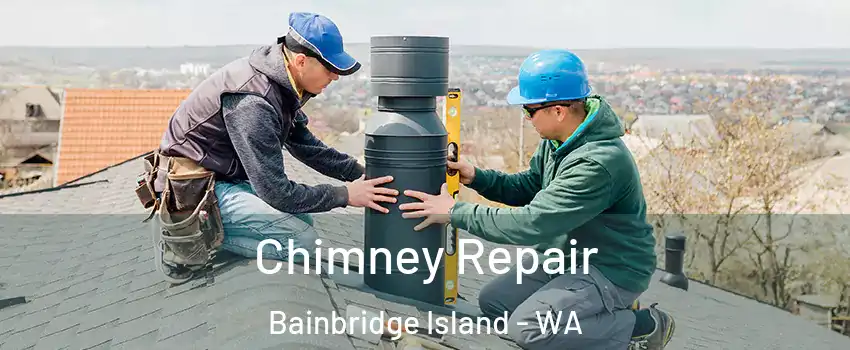 Chimney Repair Bainbridge Island - WA