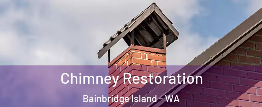  Chimney Restoration Bainbridge Island - WA