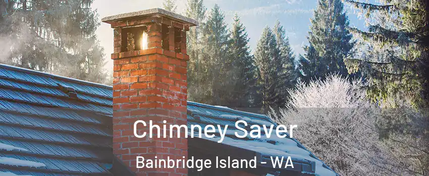  Chimney Saver Bainbridge Island - WA
