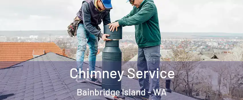  Chimney Service Bainbridge Island - WA