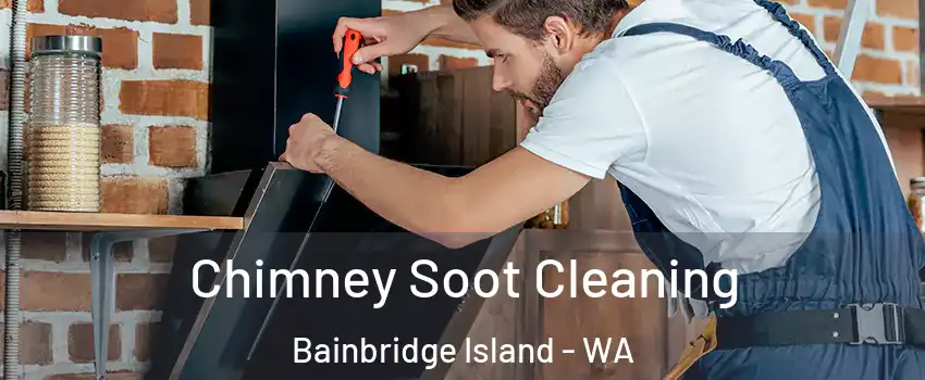  Chimney Soot Cleaning Bainbridge Island - WA