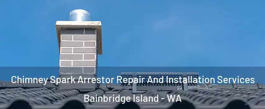  Chimney Spark Arrestor Repair And Installation Services Bainbridge Island - WA