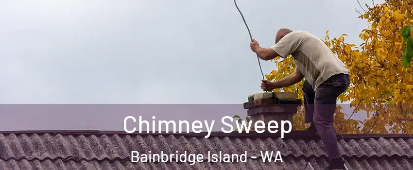  Chimney Sweep Bainbridge Island - WA