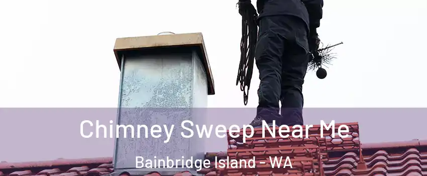  Chimney Sweep Near Me Bainbridge Island - WA