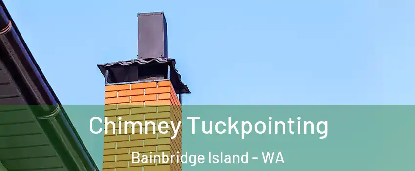  Chimney Tuckpointing Bainbridge Island - WA