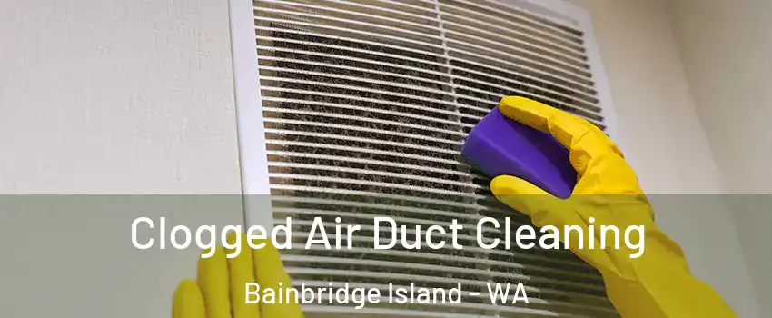  Clogged Air Duct Cleaning Bainbridge Island - WA