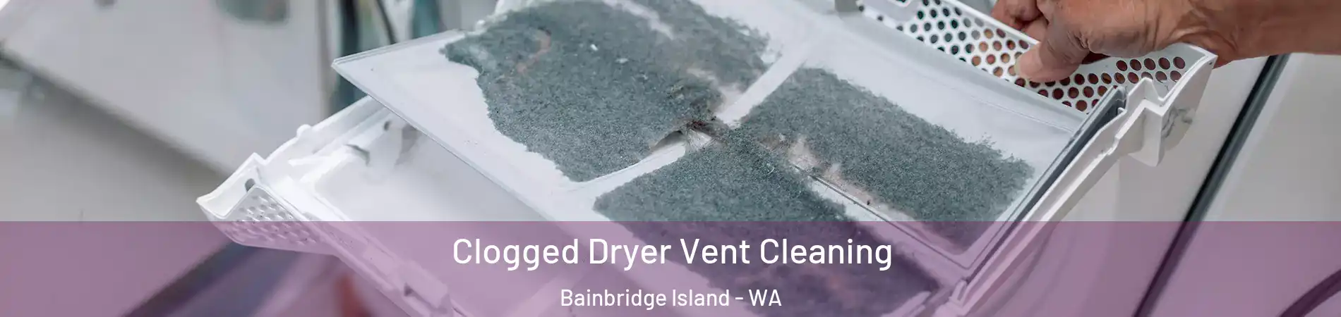  Clogged Dryer Vent Cleaning Bainbridge Island - WA