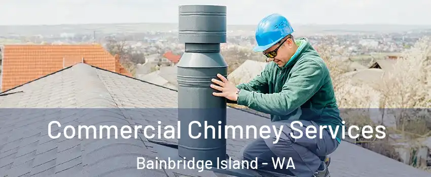  Commercial Chimney Services Bainbridge Island - WA