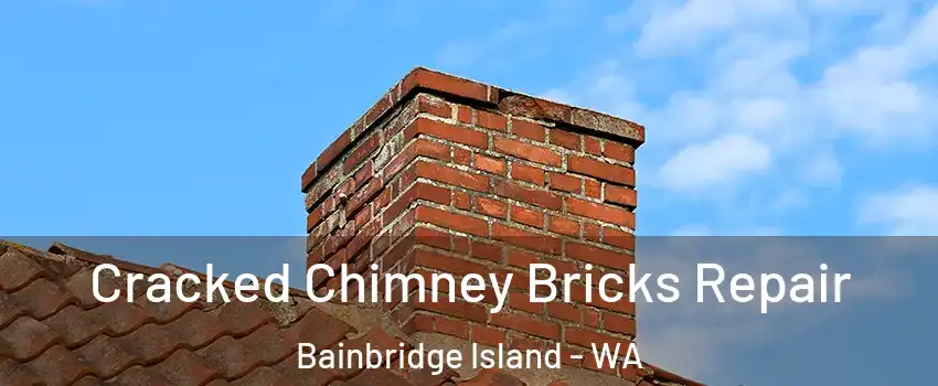  Cracked Chimney Bricks Repair Bainbridge Island - WA