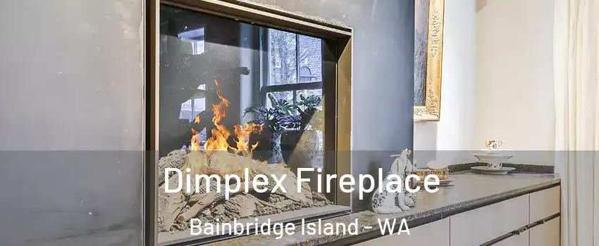  Dimplex Fireplace Bainbridge Island - WA