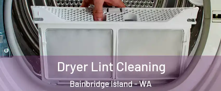  Dryer Lint Cleaning Bainbridge Island - WA