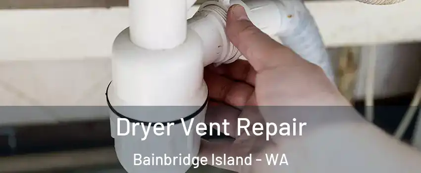  Dryer Vent Repair Bainbridge Island - WA