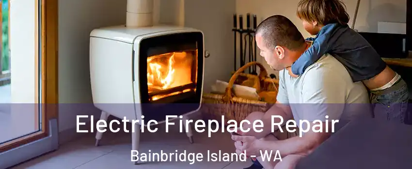  Electric Fireplace Repair Bainbridge Island - WA