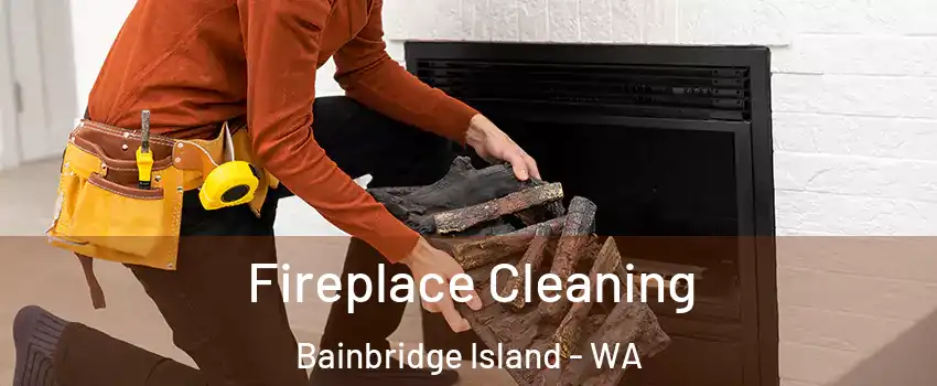  Fireplace Cleaning Bainbridge Island - WA
