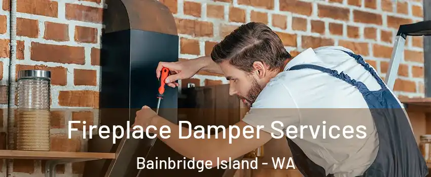  Fireplace Damper Services Bainbridge Island - WA
