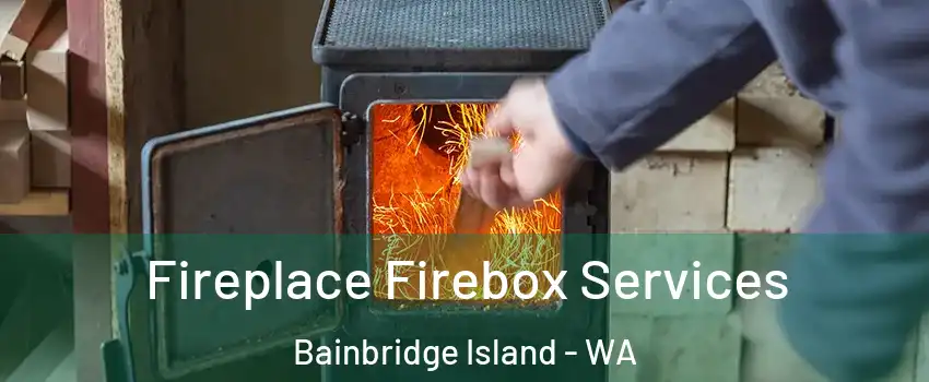  Fireplace Firebox Services Bainbridge Island - WA