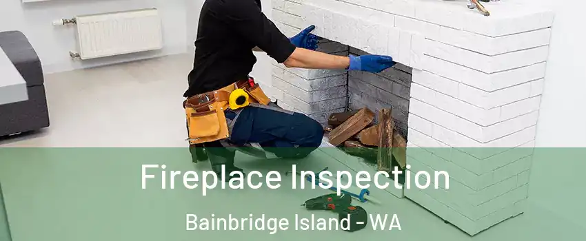  Fireplace Inspection Bainbridge Island - WA