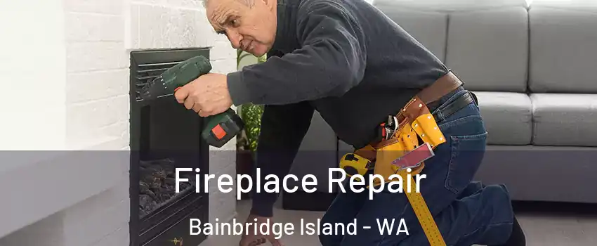  Fireplace Repair Bainbridge Island - WA