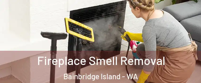  Fireplace Smell Removal Bainbridge Island - WA