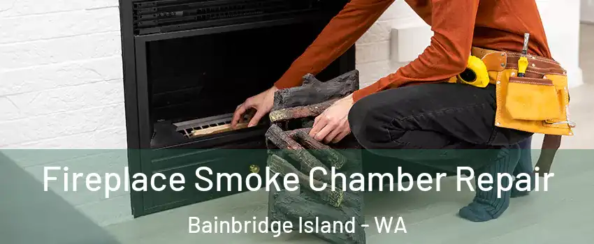  Fireplace Smoke Chamber Repair Bainbridge Island - WA