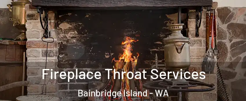  Fireplace Throat Services Bainbridge Island - WA