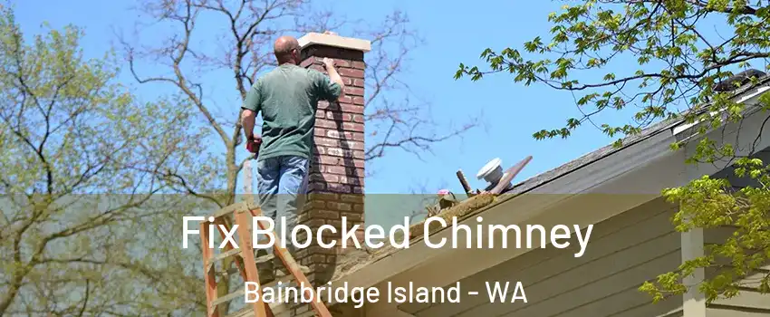  Fix Blocked Chimney Bainbridge Island - WA
