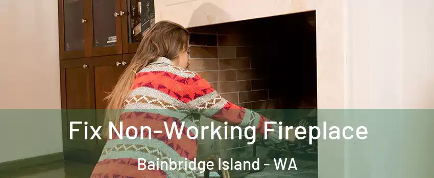  Fix Non-Working Fireplace Bainbridge Island - WA