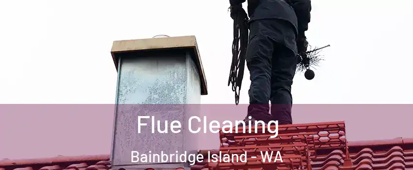  Flue Cleaning Bainbridge Island - WA