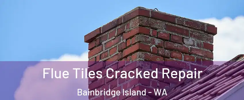  Flue Tiles Cracked Repair Bainbridge Island - WA