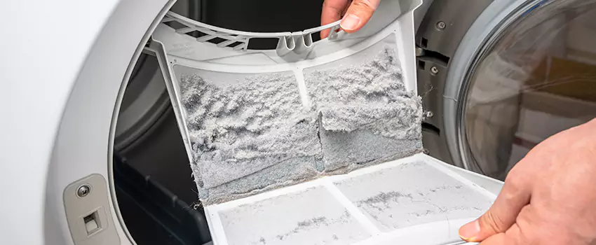 Best Dryer Lint Removal Company in Bainbridge Island, Washington