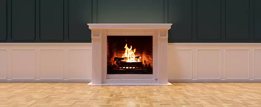 Napoleon Electric Fireplaces Inspection Service in Bainbridge Island, Washington