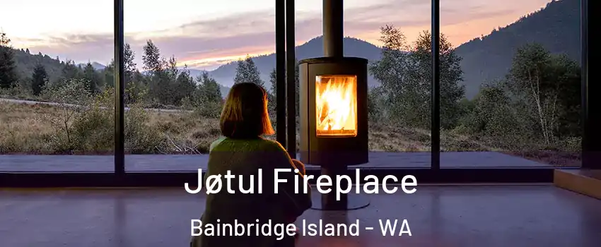  Jøtul Fireplace Bainbridge Island - WA