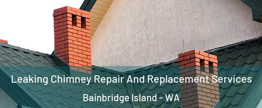  Leaking Chimney Repair And Replacement Services Bainbridge Island - WA