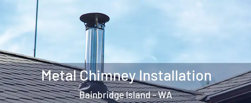  Metal Chimney Installation Bainbridge Island - WA