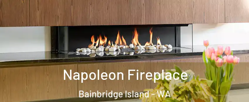  Napoleon Fireplace Bainbridge Island - WA