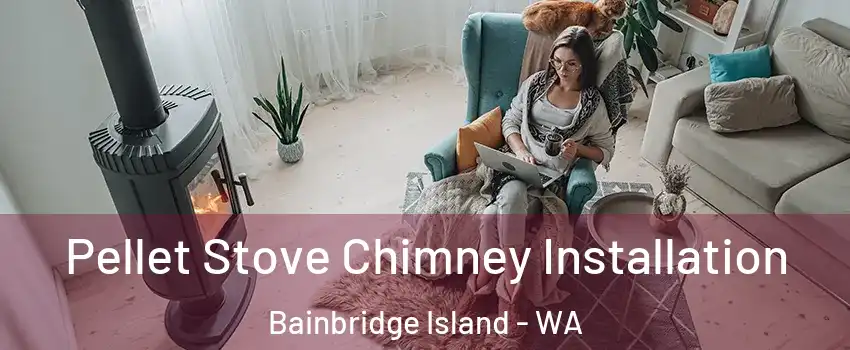  Pellet Stove Chimney Installation Bainbridge Island - WA