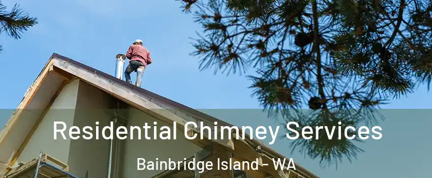  Residential Chimney Services Bainbridge Island - WA