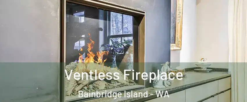  Ventless Fireplace Bainbridge Island - WA